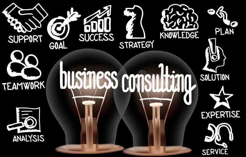 The Expertise of Business Consultants