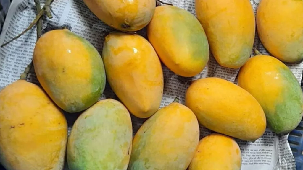 The Rise of Bangladeshi Mangoes in the World Market