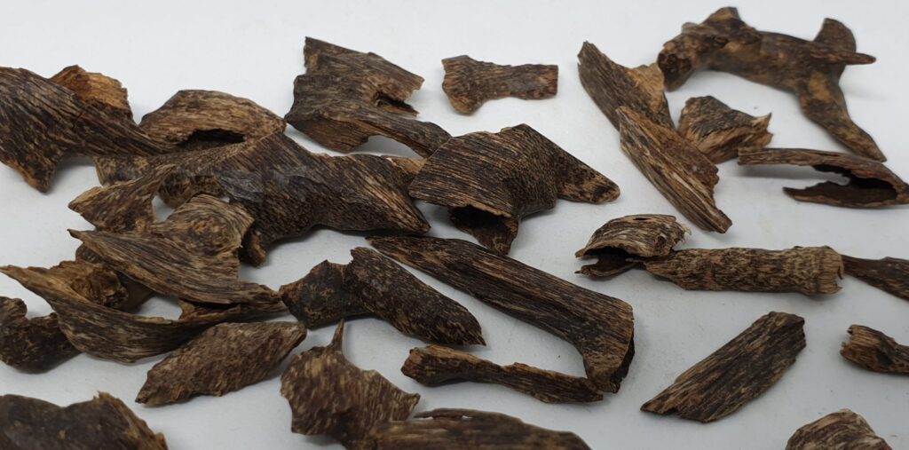 Agarwood in Bangladesh