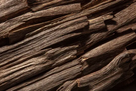 Discover the Best Quality Agarwood with TIB