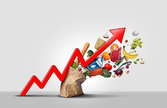 Economic Challenges and Inflation in Bangladesh